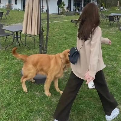 无厘取闹4