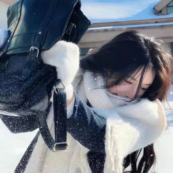 终极追缉令
